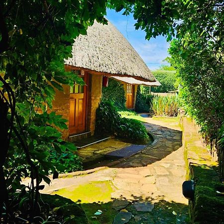 Hlotse Bird Haven Guesthouse المظهر الخارجي الصورة